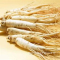 ginseng tea root food